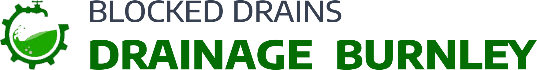 website logo